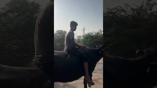 New Jatt jeona morh guggugill viral [upl. by Nahtanaj]