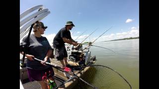 a unbelievable day of catfishing on wheeler lake alabama [upl. by Now]