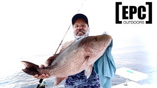 How to CATCH BIG mangrove SNAPPER offshore [upl. by Ojeibbob]