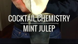 Basic Cocktails  How To Make A Mint Julep [upl. by Lleroj978]