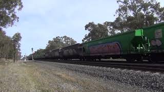 C507BRM001CLF3 to Nsw thru Euroa Sth 482024  1116 [upl. by Grigson836]