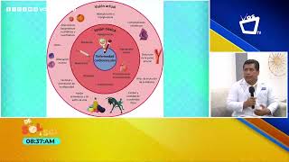 Complicaciones crónicas en diabetes prevení su aparición y progresión [upl. by Dnomyaw]