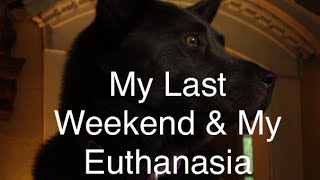 My Last Weekend Plus My Euthanasia [upl. by Thilda]