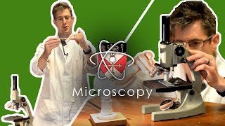 Microscopy  How to use a microscope  GCSE Science Required Practical [upl. by Nilreb]