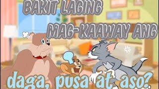 Bakit Laging Magkaaway Ang Daga Pusa At Aso Tom and Jerry Theme Kwentong Pabula na may Aral [upl. by Ladnor]