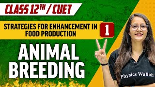 Strategies for Enhancement in Food Production 01  Animal Breeding  Class 12thCUET [upl. by Yahsal]