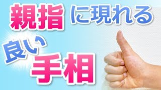 【手相】親指周辺にある手相の形や線の意味【島田秀平】 [upl. by Acimak]