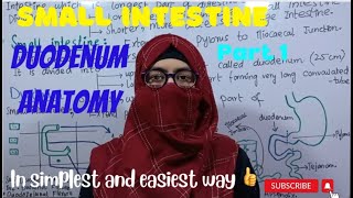 Duodenum Anatomy  Parts of Duodenum  small Intestine  part 1  ayeshamedicaleducation [upl. by Ahoufe792]