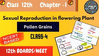 Class 12th Biology  Ch  1 Lec 4  Pollen Grains  Structure Development and Applications EN [upl. by Einberger434]