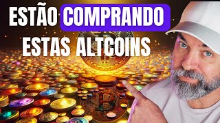 QUAIS ALTCOINS OS GRANDE INVESTIDORES ESTÃO COMPRANDO BOM DIA CRIPTO 350 [upl. by Yrahca]