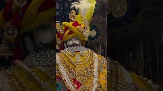 happy trendingshorts shyaam shyambaba baba khatushyam viralvideo video trending [upl. by Bolme465]