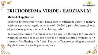 Trichoderma viride characteristics [upl. by Aneela]