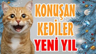 YENİ YIL ÖZEL KONUŞAN KEDİLER  EN KOMİK KEDİ VİDEOLARI [upl. by Giverin448]