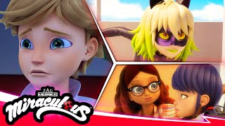 MIRACULOUS  🐞 COMPILATION 4  SEASON 5 🐾  Tales of Ladybug amp Cat Noir [upl. by Adnilra91]