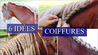 6 IDÉES COIFFURES CHEVAUX  Pour crinières longues [upl. by Lledroc]