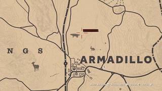 Red Dead online objetivo diarios Matricaria Silvestre [upl. by Ayotyal]