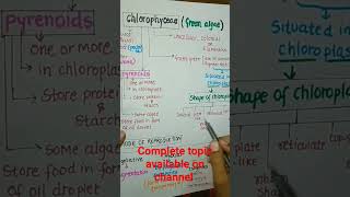 Chlorophyceae Green Algae part1neet2024algaeplantkingdomclass11shortsytshorts biologycbse [upl. by Waylen]