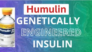 Humulin  Genetically Engineered Insulin lll Biotechnology and its application lll NEET class XII [upl. by Holcomb]