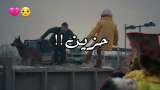 شاهد الطفلة الذي ابكت الملايين 💔  فيديو حزين جدا لدرجة البكاء😥😭 [upl. by Leciram605]