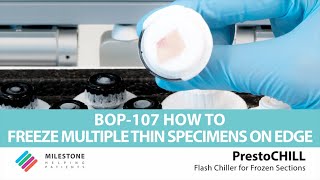 PrestoCHILL  BOP107  How to freeze multiple thin specimens on edge [upl. by Ttoile]