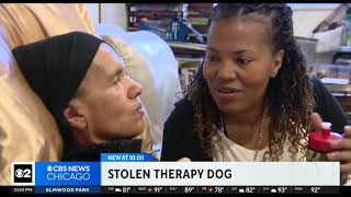 The search is on for whoever stole the therapy dog of a 79yearold woman with dementia [upl. by Lenhart]