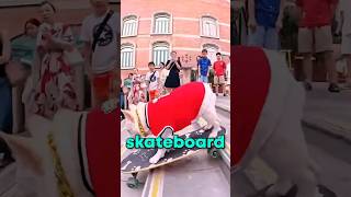 This Dogs Skateboarding Skills Will BLOW Your Mind [upl. by Llenad]