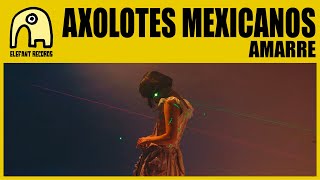 AXOLOTES MEXICANOS  Amarre Official [upl. by Cosette106]