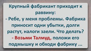 ✡️ Талмуд для Еврея Фабриканта Еврейские Анекдоты Анекдоты про Евреев Выпуск 326 [upl. by Wampler]