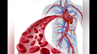 heart  coronary angiogram vs coronary angioplasty [upl. by Gaskill]