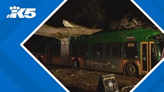 Bomb cyclone leaves widespread damage around western Washington [upl. by Ecinrahs]