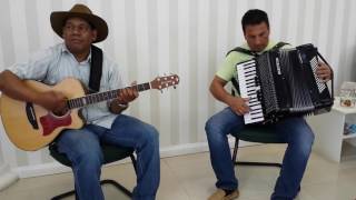 Solo Acordeon  Alma Cansada [upl. by Anauqahs]