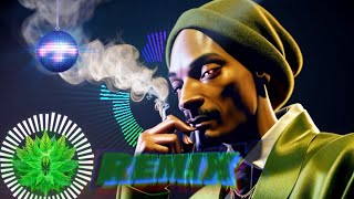 Snoop Dogg  Smoke Weed Everyday Remix [upl. by Trumaine754]