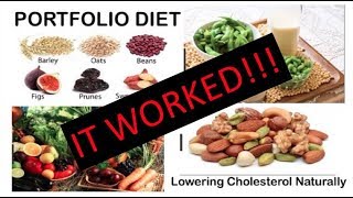 Portfolio Diet Results  Lowering Cholesterol Naturally [upl. by Rugg]