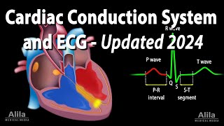 Cardiac Conduction System and Understanding ECGEKG  Updated 2024 Animation [upl. by Gnilrad]