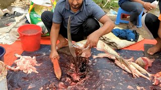 Amazing Giant Small Wallago Attu Catfish Cutting Skills By Expert  Fish Cutting Skills [upl. by Evelyn245]