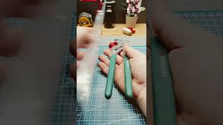 Cleste 2 in 1 Parkside❤️ knipex diy automobile [upl. by Oiril710]