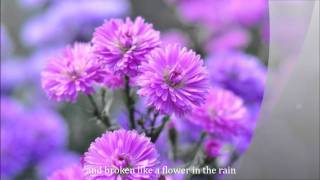 FLOWER IN THE RAIN by Jaci Velasquez with lyrics [upl. by Stauffer]