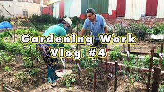 Jasmine Daily Life Gardening Life Vlog 4 Making new bamboo piles for Vegetables [upl. by Puduns]