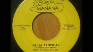 Orchestra Capri  Salsa Tropical [upl. by Dorkas]