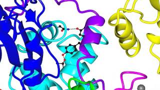 RING E3 ubiquitin ligase [upl. by Nobel450]