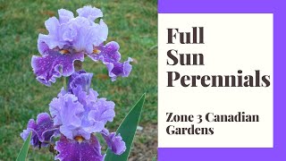 Full Sun Perennials for Zone 3 Canadian Gardens [upl. by Mendie]