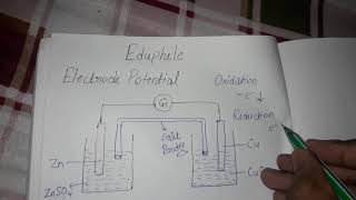 Electrode Potential  NCERT  Hindi [upl. by Kere]