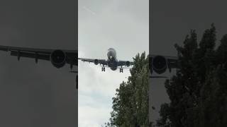 AIRBUS A330323 DELTA AIRLINES DETROIT TO AMSTERDAM LANDING SCHIPHOL AIRPORT  PLANE SPOTTING [upl. by Nutsud]