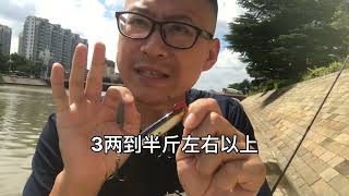 超远投沉水铅笔 超远投沉水铅笔，钓翘嘴最常用，抛投远，尺寸小 [upl. by Mohorva]