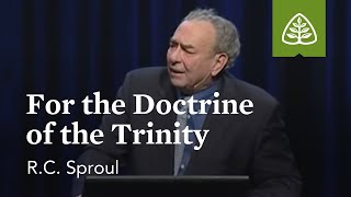 RC Sproul For the Doctrine of the Trinity [upl. by Latyrc449]