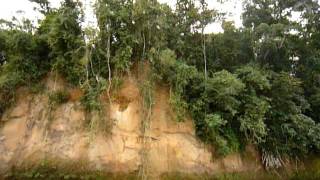 Bolivia on the river in the quotParque Nacional Madidiquot [upl. by Teddi]