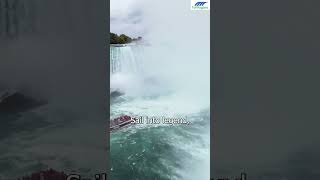 Niagara Falls Tour From Toronto with Boat Ride amp Journey  ToNiagara [upl. by Modestia24]