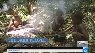 Baka pygmies the fight for survival of a threatened people [upl. by Jemy]