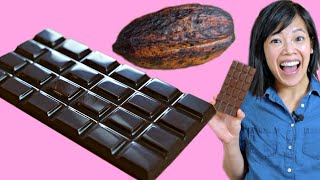 Cocoa POD to CHOCOLATE Bar  How to Make A DIY BeantoChocolate Bar at Home [upl. by Kilgore830]