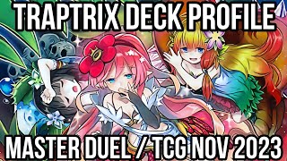 Traptrix Deck Profile Nov 2023  Master Duel amp TCG [upl. by Noelopan]